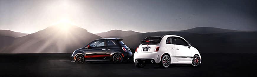 Fiat 500 Bakımı